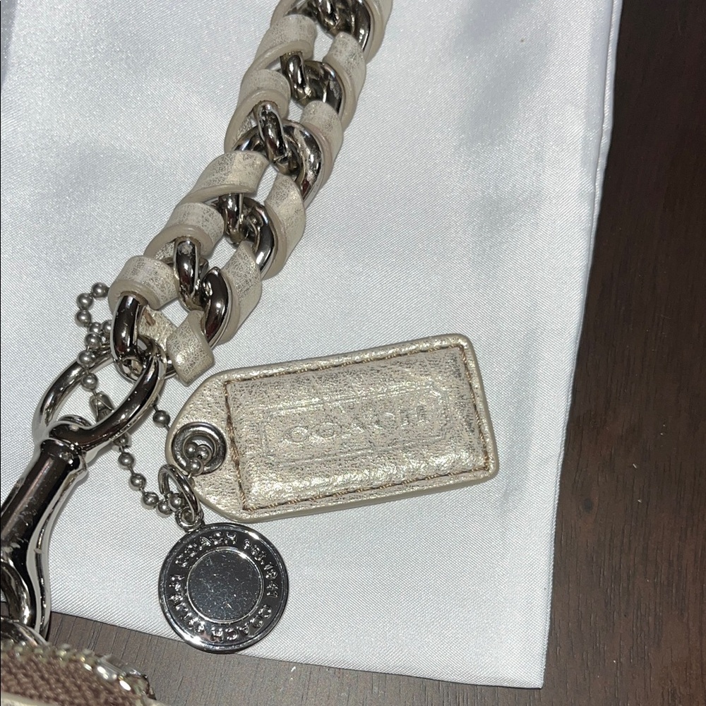 Coach Metallic Shoulder Bag - Picture 2 of 14